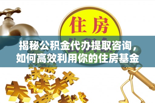 延川揭秘公积金代办提取咨询，如何高效利用你的住房基金