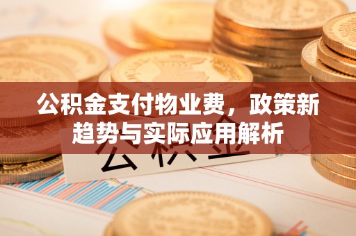 延川公积金支付物业费，政策新趋势与实际应用解析