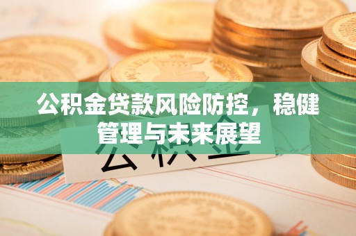 延川公积金贷款风险防控，稳健管理与未来展望