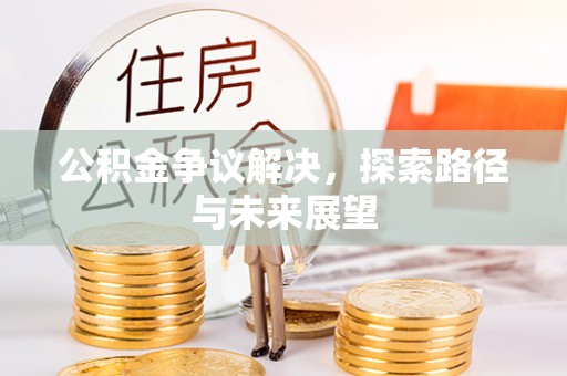 延川公积金争议解决，探索路径与未来展望