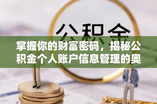 延川掌握你的财富密码，揭秘公积金个人账户信息管理的奥秘