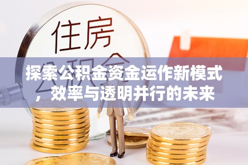 延川探索公积金资金运作新模式，效率与透明并行的未来