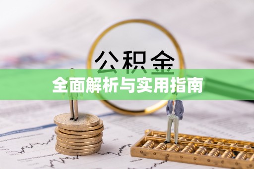 延川全面解析与实用指南