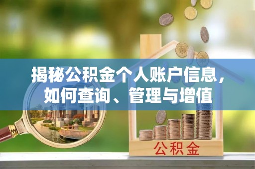 延川揭秘公积金个人账户信息，如何查询、管理与增值