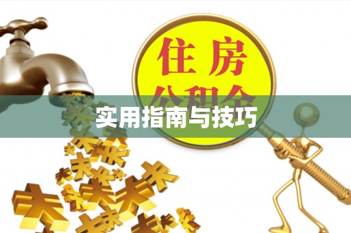 延川实用指南与技巧