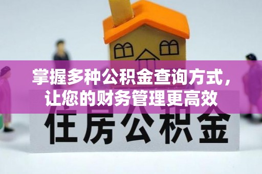 延川掌握多种公积金查询方式，让您的财务管理更高效