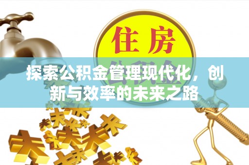 延川探索公积金管理现代化，创新与效率的未来之路