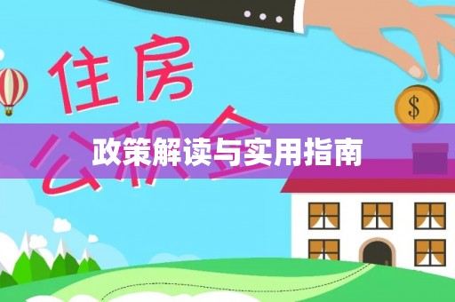 延川政策解读与实用指南