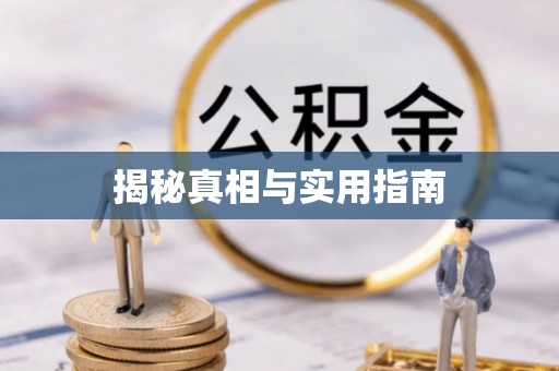 延川揭秘真相与实用指南