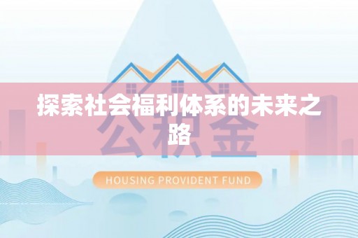 延川探索社会福利体系的未来之路