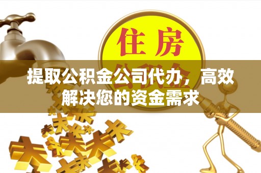 延川提取公积金公司代办，高效解决您的资金需求