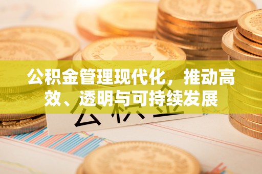 延川公积金管理现代化，推动高效、透明与可持续发展
