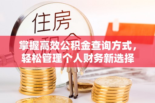延川掌握高效公积金查询方式，轻松管理个人财务新选择