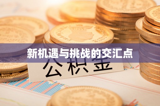 延川新机遇与挑战的交汇点