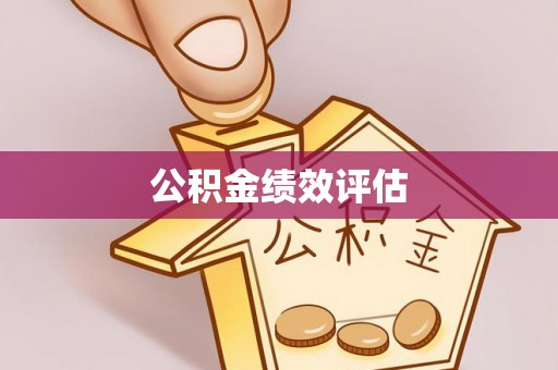 延川公积金绩效评估