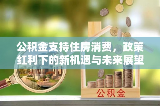 延川公积金支持住房消费，政策红利下的新机遇与未来展望