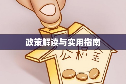 延川政策解读与实用指南