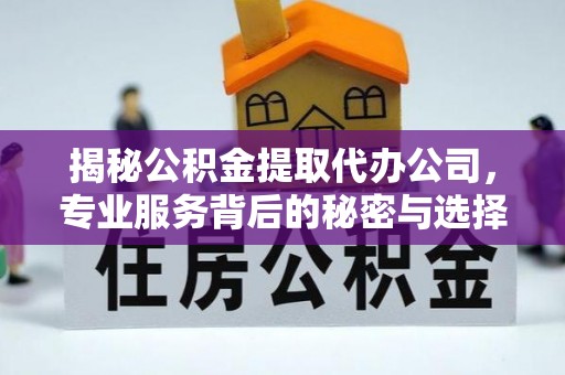 延川揭秘公积金提取代办公司，专业服务背后的秘密与选择指南