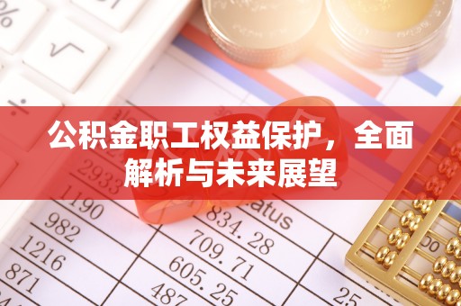 延川公积金职工权益保护，全面解析与未来展望