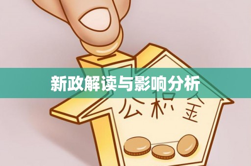 延川新政解读与影响分析