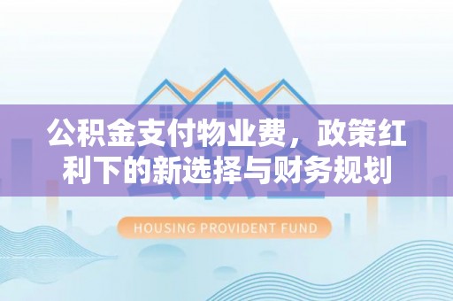 延川公积金支付物业费，政策红利下的新选择与财务规划