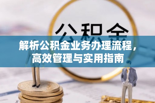 延川解析公积金业务办理流程，高效管理与实用指南