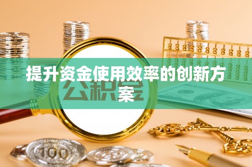 延川提升资金使用效率的创新方案