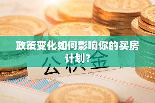 延川政策变化如何影响你的买房计划？
