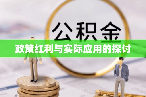 延川政策红利与实际应用的探讨