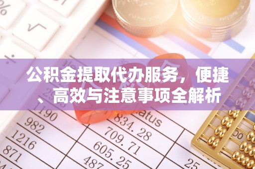 延川公积金提取代办服务，便捷、高效与注意事项全解析