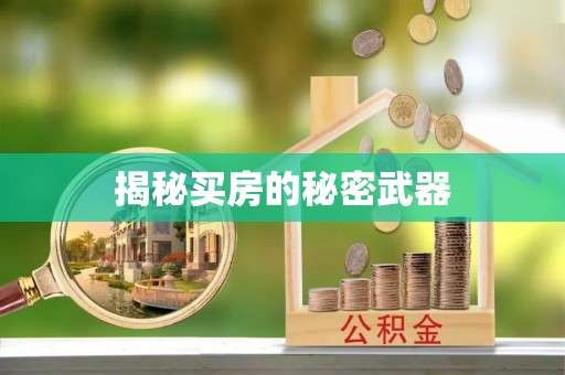 延川揭秘买房的秘密武器