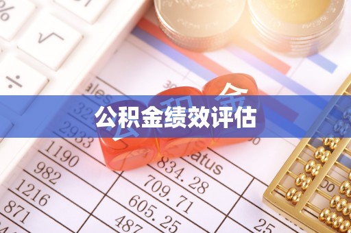 延川公积金绩效评估