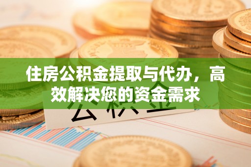 延川住房公积金提取与代办，高效解决您的资金需求