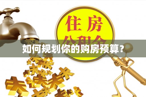 延川如何规划你的购房预算？