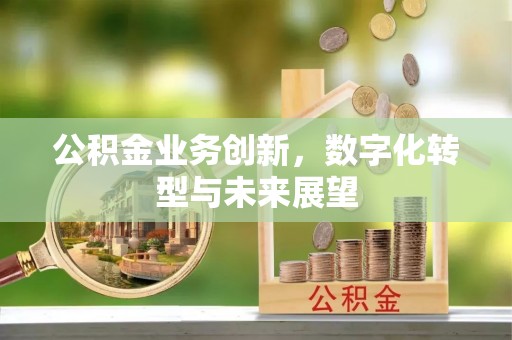 延川公积金业务创新，数字化转型与未来展望