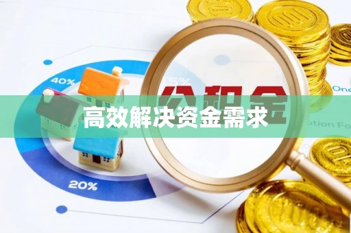 延川高效解决资金需求