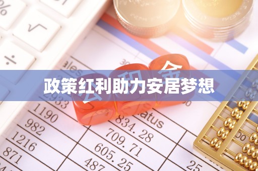 延川政策红利助力安居梦想
