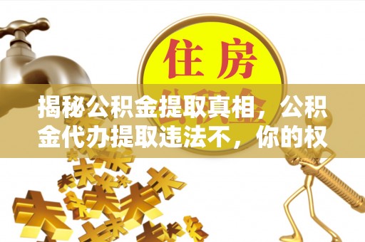 延川揭秘公积金提取真相，公积金代办提取违法不，你的权益如何保障？