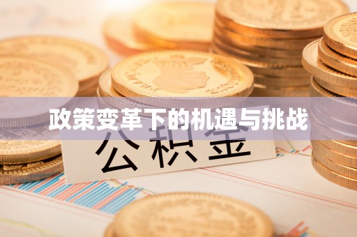 延川政策变革下的机遇与挑战