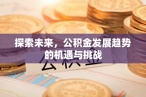 延川探索未来，公积金发展趋势的机遇与挑战