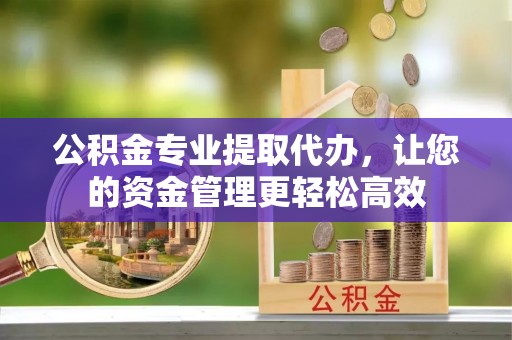 延川公积金专业提取代办，让您的资金管理更轻松高效
