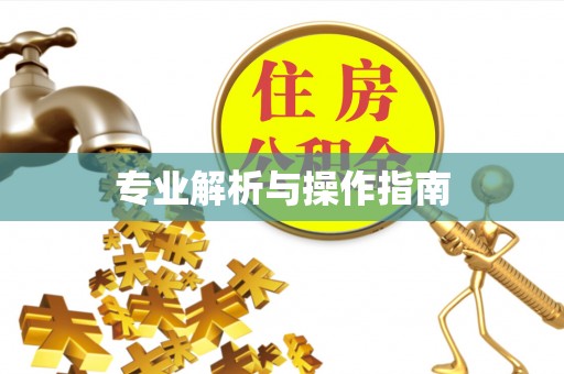 延川专业解析与操作指南