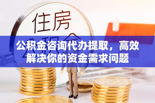 延川公积金咨询代办提取，高效解决你的资金需求问题