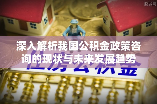 延川深入解析我国公积金政策咨询的现状与未来发展趋势