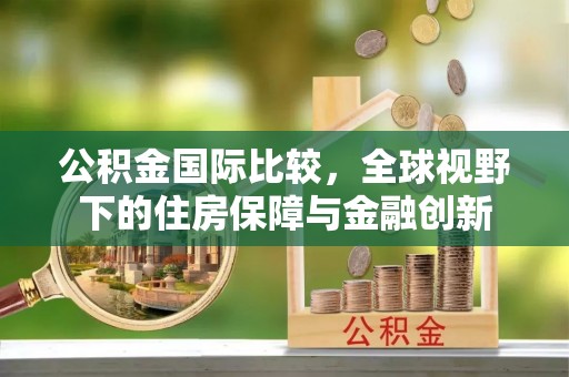 延川公积金国际比较，全球视野下的住房保障与金融创新