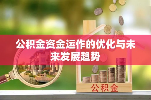 延川公积金资金运作的优化与未来发展趋势