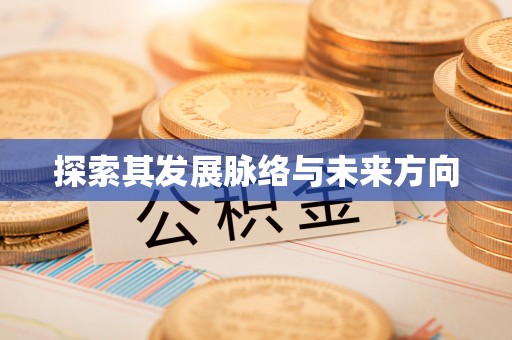 延川探索其发展脉络与未来方向