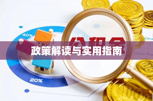 延川政策解读与实用指南