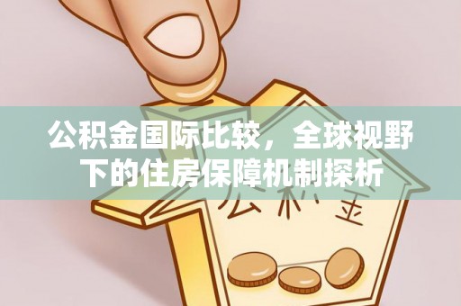延川公积金国际比较，全球视野下的住房保障机制探析