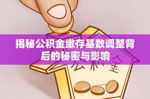 延川揭秘公积金缴存基数调整背后的秘密与影响